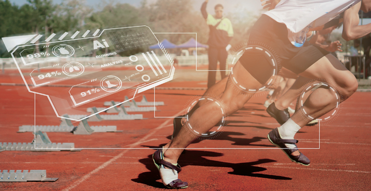 스포츠 인사이트